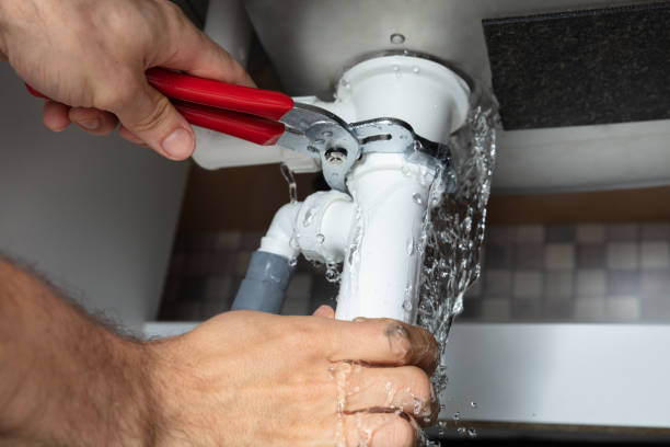 Best Local water damage restoration  in Collins, MS