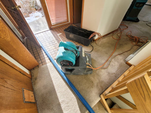 Best Carpet water damage restoration  in Collins, MS