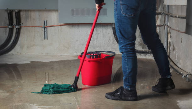Best Emergency water damage restoration  in Collins, MS