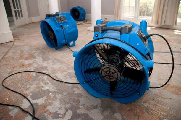 Best Water damage restoration near me  in Collins, MS