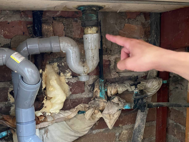 Best Water damage restoration near me  in Collins, MS