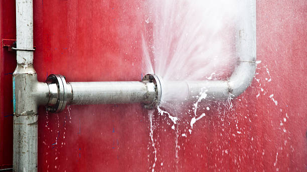 Best Flooded house restoration  in Collins, MS